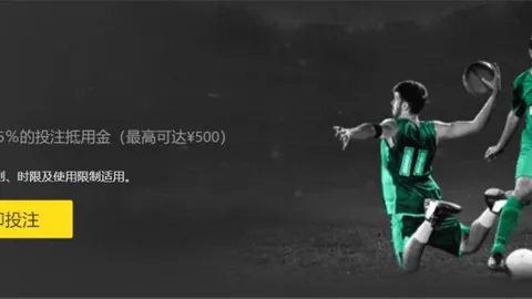 徐一璠／杨钊煊澳网女子双打止步第二轮，央视新闻客户端实时报道